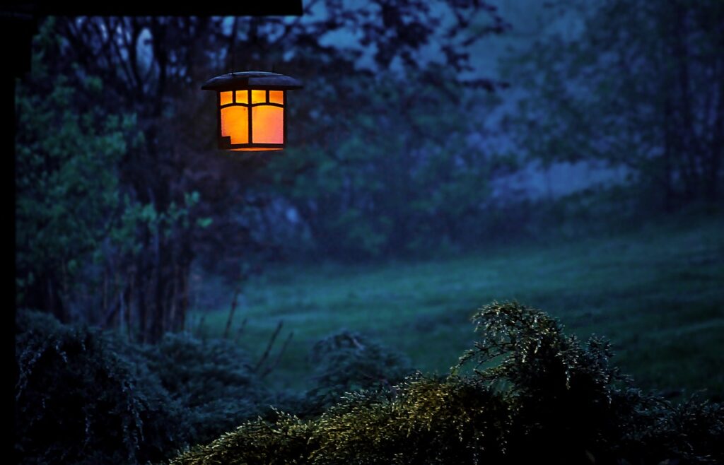 Garten Lampe Nacht Garten richtig beleuchten
