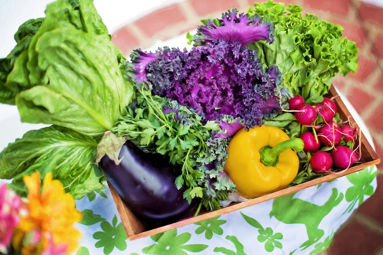 ᐅ Garten welches Gemüse passt zusammen?