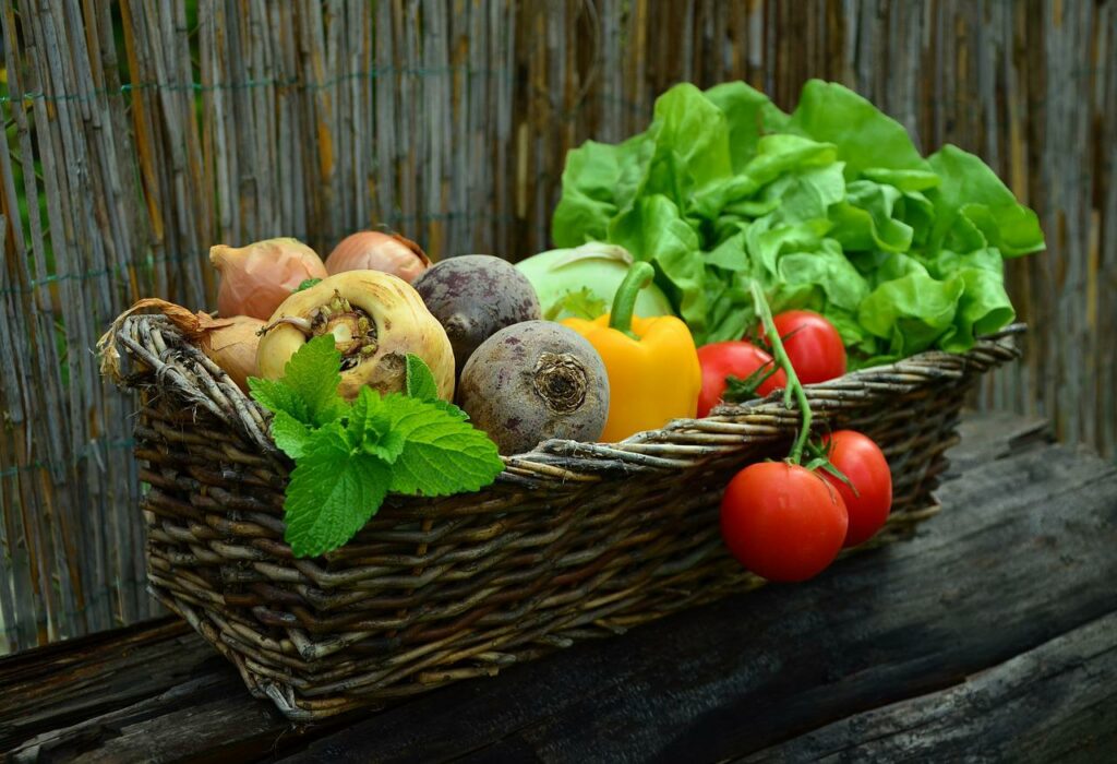 selbst angebautes Gemüse im Garten Selbstversorger werden Tipps und Tricks für Anfänger