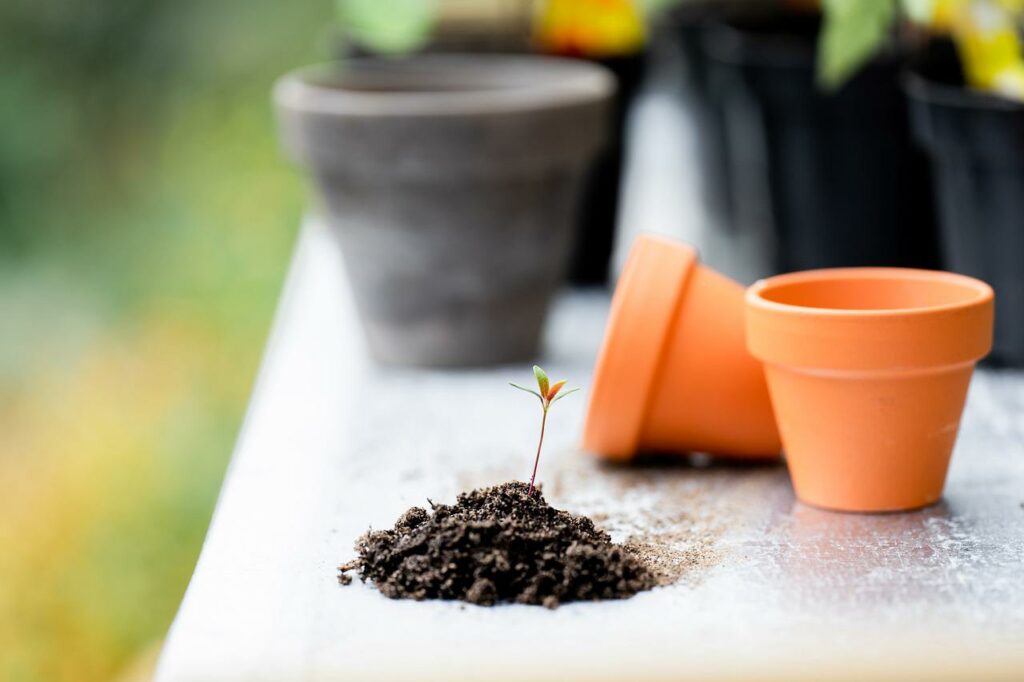 Gartenausrüstung für Beginner Töpfe Plänzling Welches Gartenwerkzeug braucht man Tipps für Anfänger
