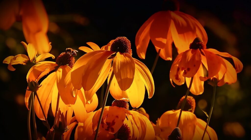 Blumen orange Blüten Garten Die Bedeutung von Unkrautvlies und Türbeschlägen in und um Ihr Zuhause