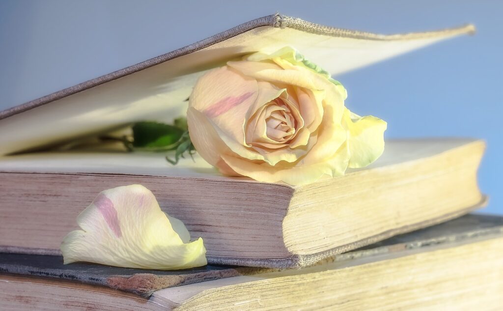 Buch Pflanze Rose Welche Rosen-Arten gibt es