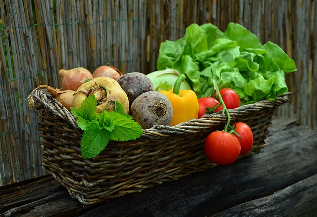 Korb mit Gemüse Garten Natur