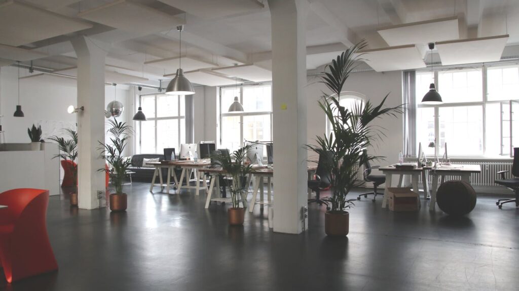 Büro moderne Einrichtung Licht Pflanzen Neue Wege der Büroplanung Zwischen Effizienz und Inspiration