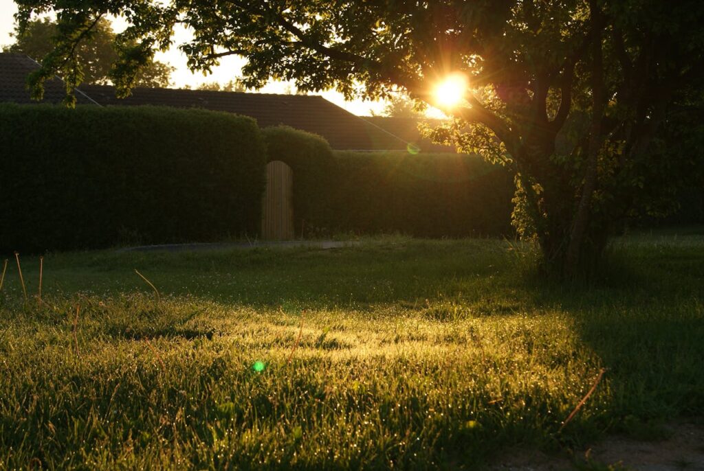 Garten Sonne Sonnenaufgang Wie Ästhetik und Funktionalität im Außenbereich zusammenkommen